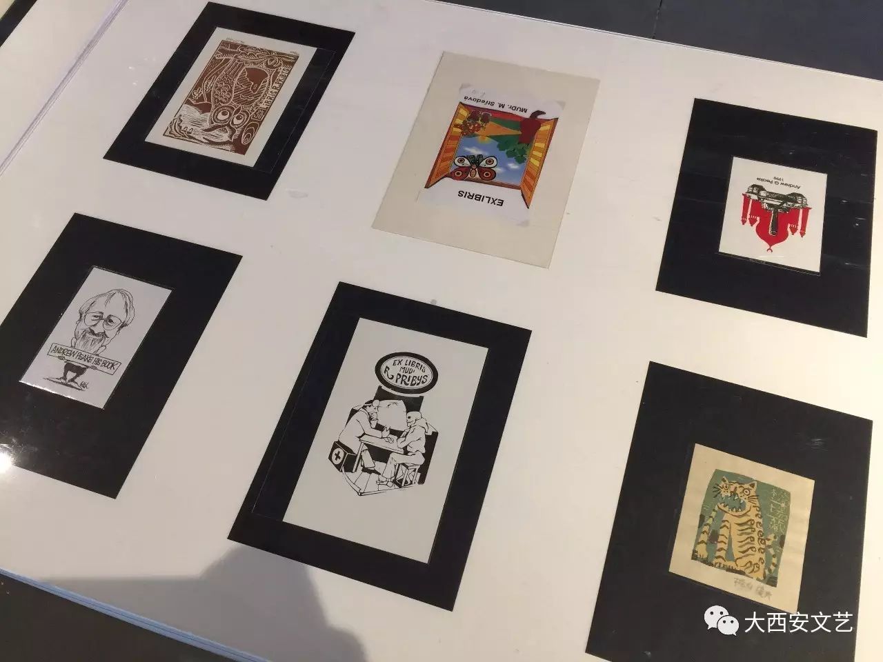 就成为收藏的对象,甚至有时其收藏的功能还盖过了藏书的标志功能