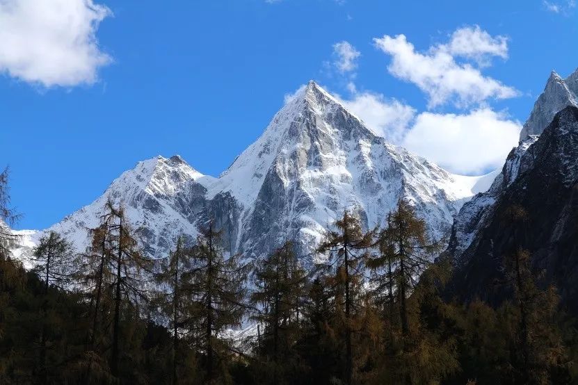 气候变化情景下,季节性雪被变化对青藏高原东缘亚高山森林土壤碳