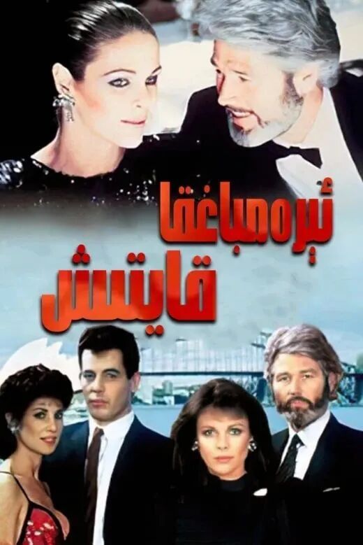 ئېرەم باققا قايتىش