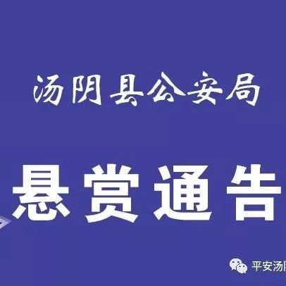 汤阴县发生故意伤害案 一男子将其岳父、岳母砍伤后逃跑