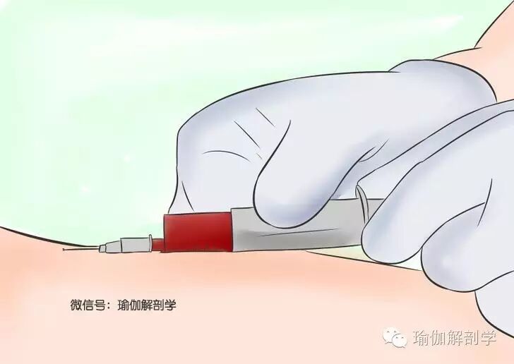 怀孕前应做那些准备?-怀孕期