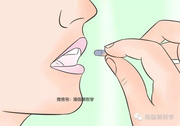 怀孕前应做那些准备?-怀孕期