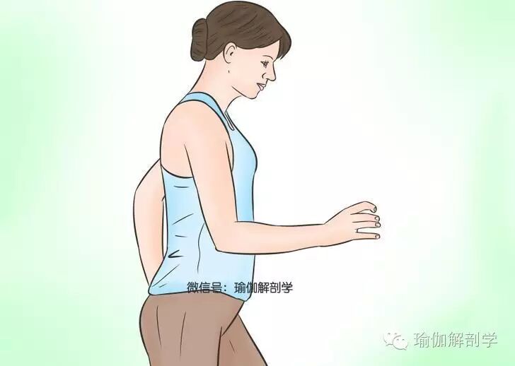 怀孕前应做那些准备?-怀孕期