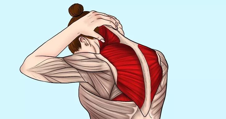 10张精准拉伸解剖图肩颈疼痛这样练就对了