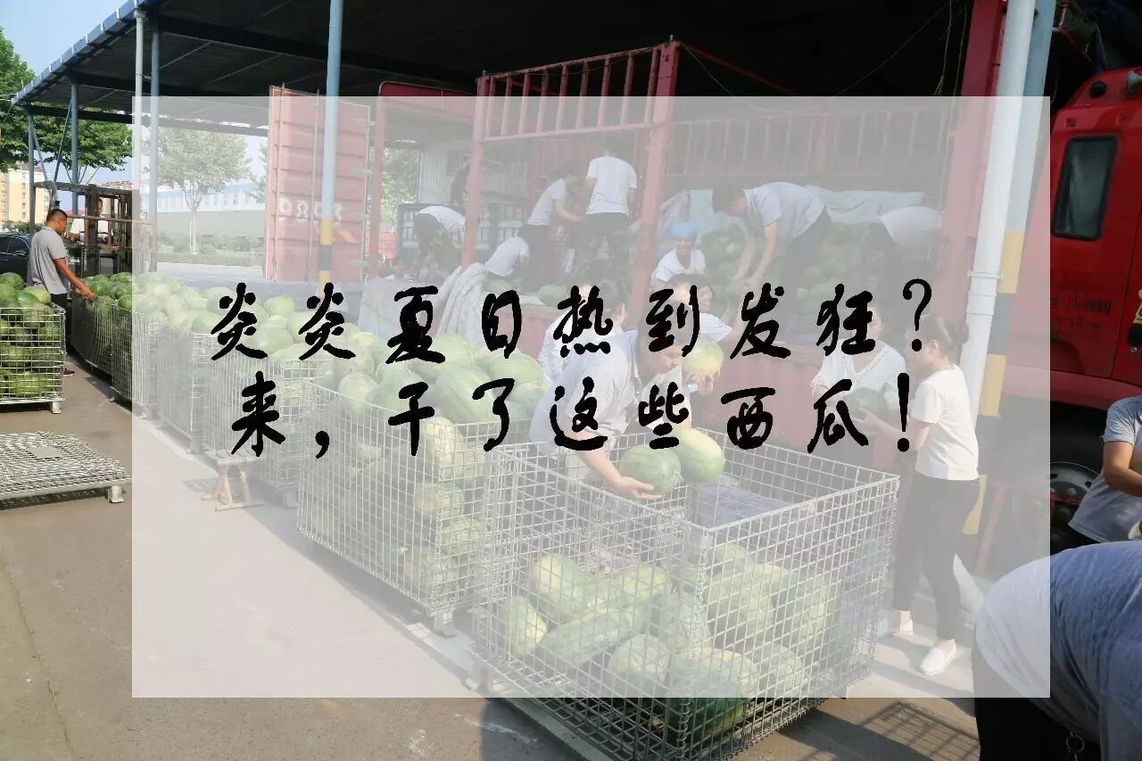 厉害丨怀孕5个月的准妈妈,为报表走千米从不抱怨