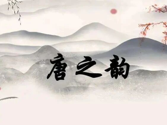 《唐之韵》第13集：新乐府派（上）