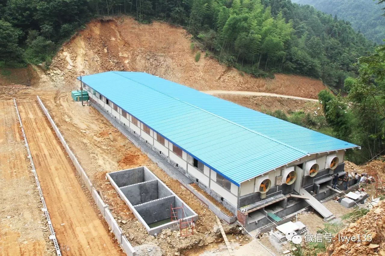 市普迹镇青山生态智能养殖场,是大湘农在浏阳建造的第一栋保健猪舍