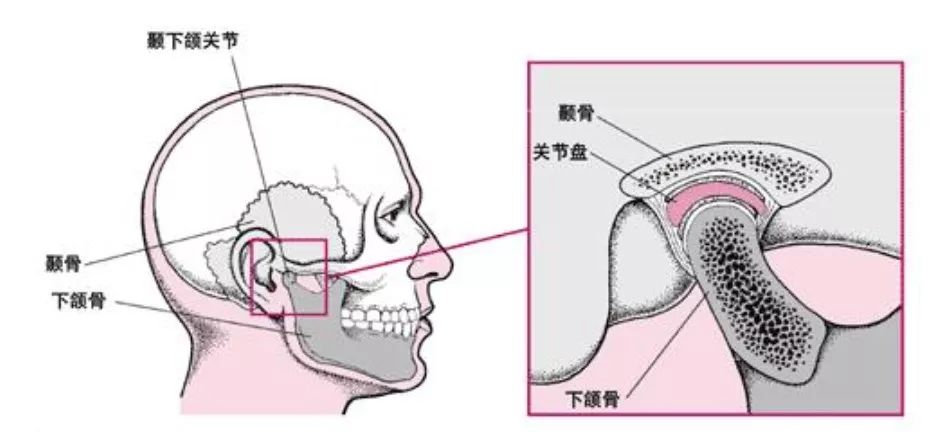 那么很不幸……如果以上问题中了多数,你睡觉紧要牙关吗?