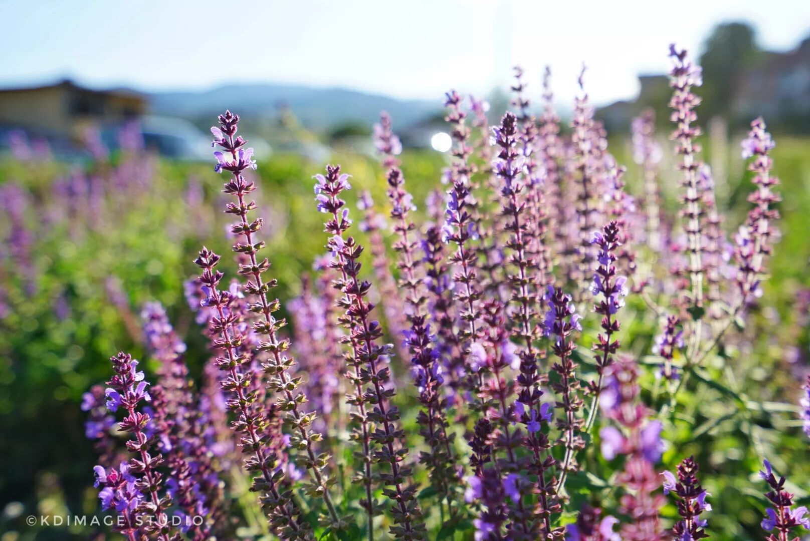 法国和美国纽约时差几个_法国和中国时差_中国法国时差是多少