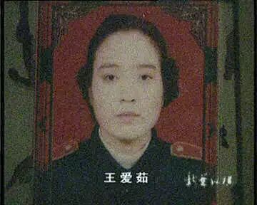 ▲王爱茹