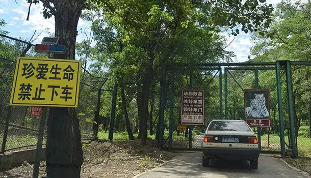 园区内的安全提醒标语