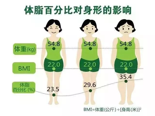 一般情况下,会建议女性体脂率在20%以上,体脂过低可能造成闭经