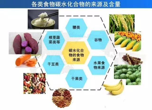 碳水化合物：吃了就胖？这个锅我不背！