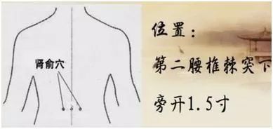 肾俞位置