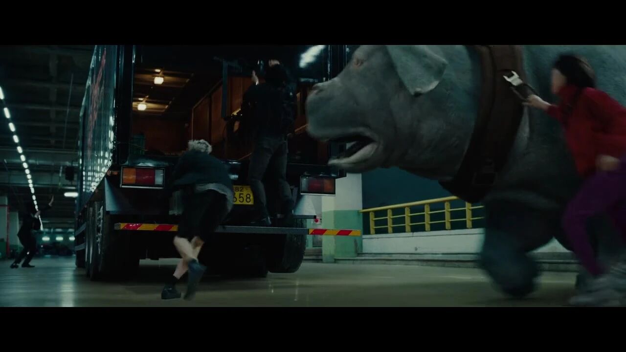 玉子.2017(剧情 / 动作 )