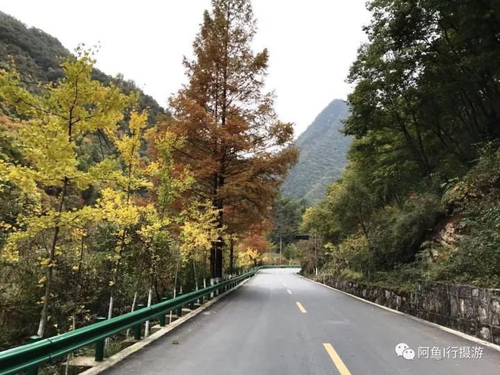 最美乡村公路——高江路是一条隐藏在秦岭深山里的乡村公路,修建