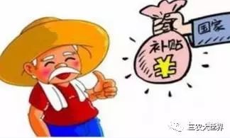 棉花目标价格改革政策解读_棉花相关政策_棉花价格改革平台