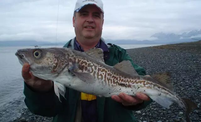 棘鳞蛇鲭和异鳞蛇鲭的区别_棘鳞海蛇_棘鳞蛇鲭