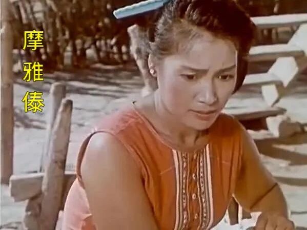 摩雅傣——纪念人民艺术家秦怡百岁驾鹤