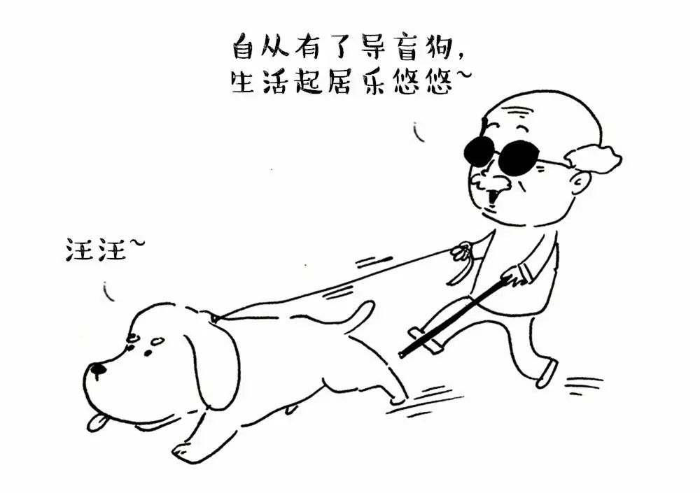 并为了帮助人类的工作被培育出来 比如拉布拉多当导盲犬 德国牧羊犬当