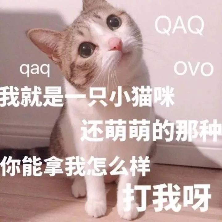 这次真的有照骗