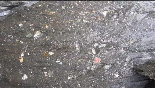 安化黑茶｜神奇的冰碛岩