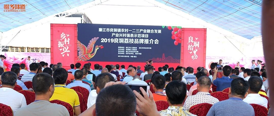 乡村振兴，良垌给荔丨2019良垌荔枝品牌推介会成功举办！