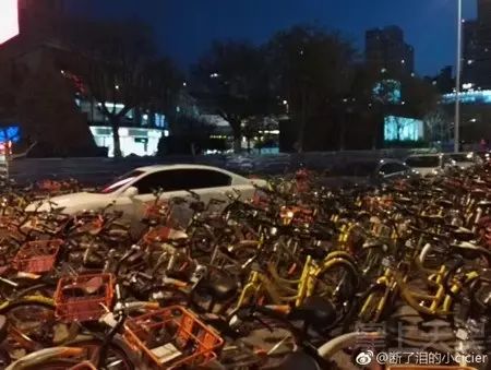 周杰伦演唱会 感觉全天津的共享单车都来了……