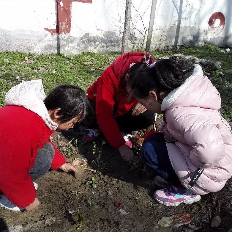 【主题教育】天泉湖小学:惊蛰,与苏醒的万物来一场约会