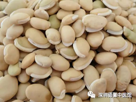 健脾祛湿茶饮赤小豆薏米白扁豆之用