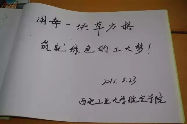 51.jpg