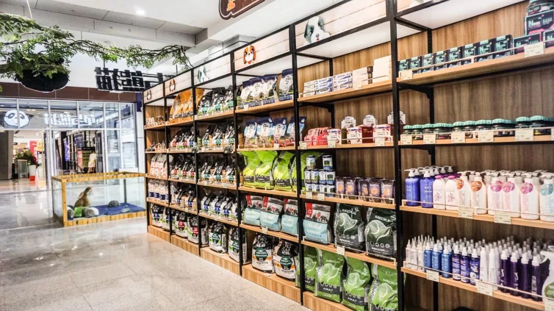 成都这6家"宠物商店"装进了1000 小动物,每天吸引2000