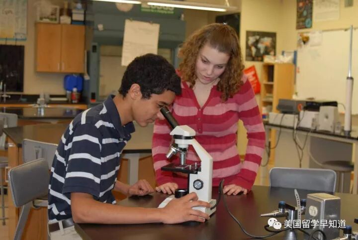 英语,数学,物理学,生物学,化学,历史,西班牙语,日语,音乐,视觉艺术等