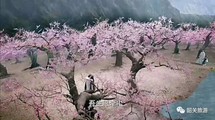 三生三世十里桃花vs韶阳楼