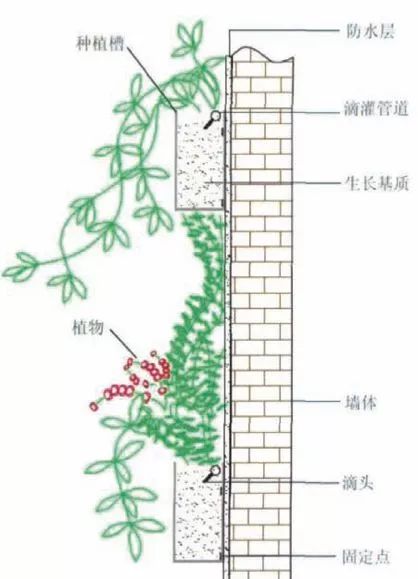 植物介绍_峨眉山植物介绍_植物大战僵尸2五阶植物图鉴介绍