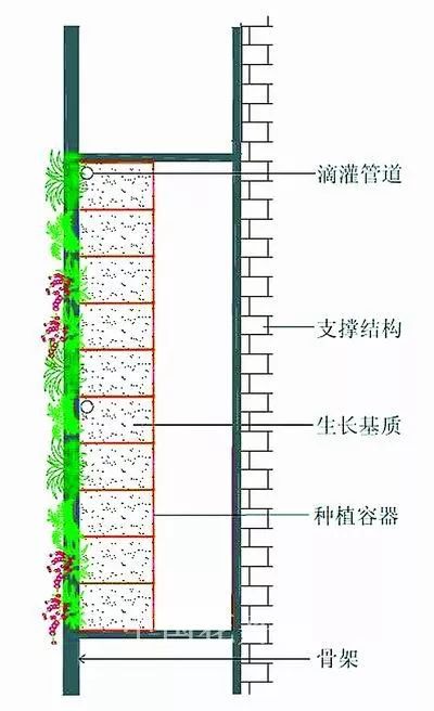 峨眉山植物介绍_植物介绍_植物大战僵尸2五阶植物图鉴介绍