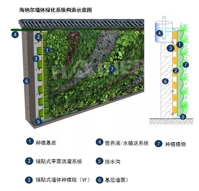 峨眉山植物介绍_植物介绍_植物大战僵尸2五阶植物图鉴介绍