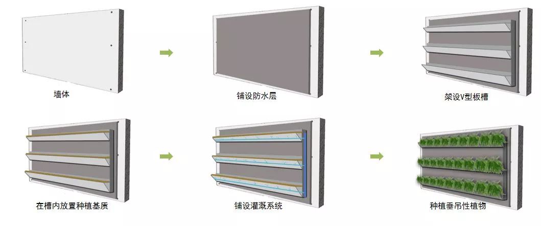 峨眉山植物介绍_植物介绍_植物大战僵尸2五阶植物图鉴介绍