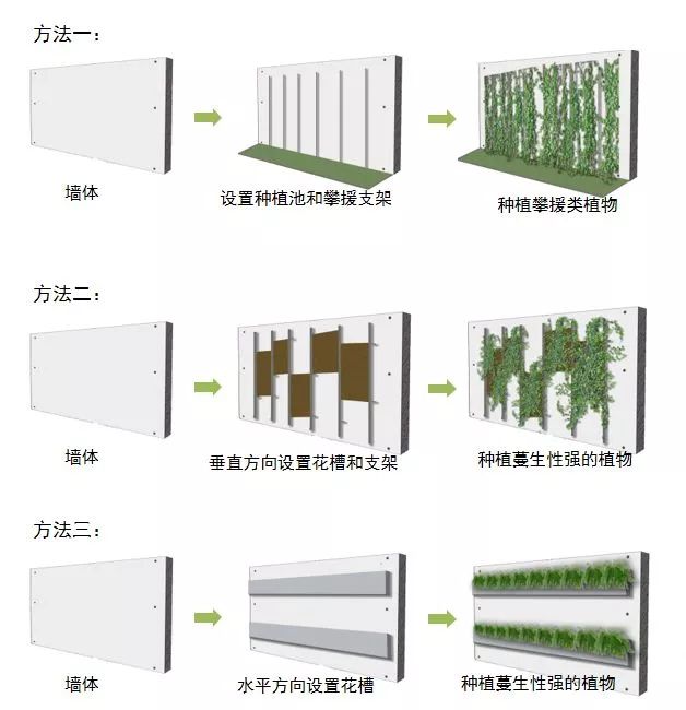 峨眉山植物介绍_植物介绍_植物大战僵尸2五阶植物图鉴介绍