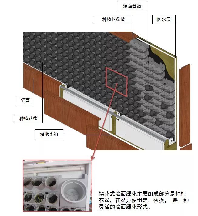 植物介绍_峨眉山植物介绍_植物大战僵尸2五阶植物图鉴介绍