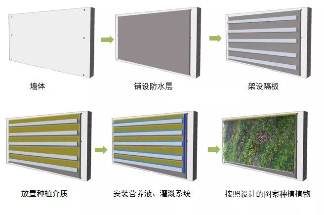 峨眉山植物介绍_植物介绍_植物大战僵尸2五阶植物图鉴介绍