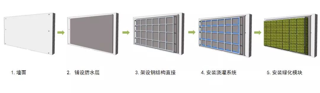 植物大战僵尸2五阶植物图鉴介绍_峨眉山植物介绍_植物介绍