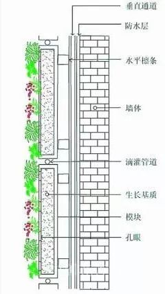 植物大战僵尸2五阶植物图鉴介绍_峨眉山植物介绍_植物介绍