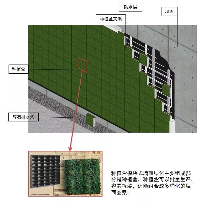 植物介绍_峨眉山植物介绍_植物大战僵尸2五阶植物图鉴介绍