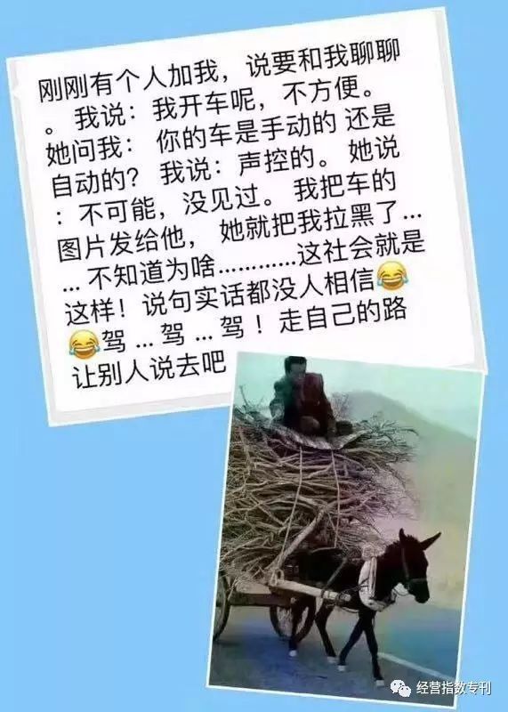 奶茶店创业项目策划书 为什么说盲目的创业等于慢性自杀？