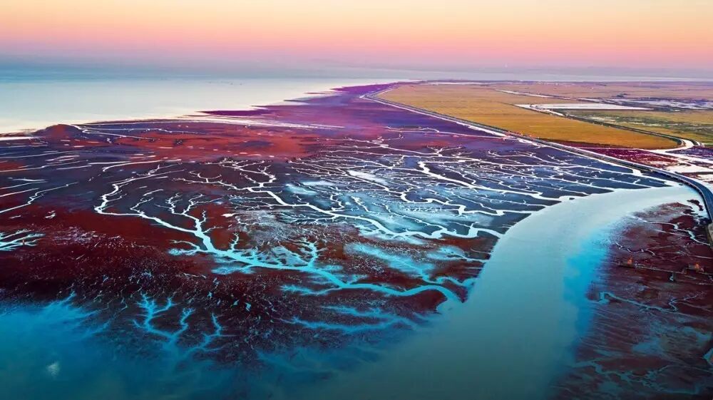 “盘锦红海滩摄影大展“-作者：尹建生- 作品名称：盘锦湿地之晨-电话：13905636985.jpg