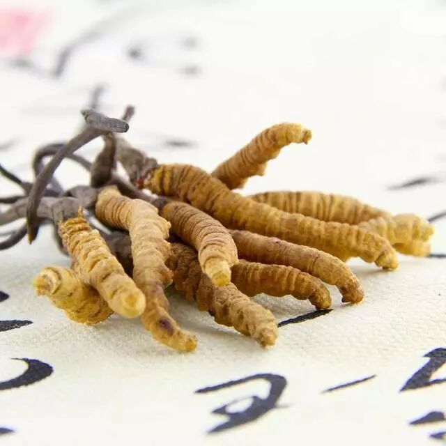 哪些中药具有养肝护肝的功效？