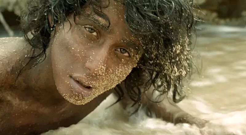 李安：有些觉得我还不错的地方，其实是装出来的