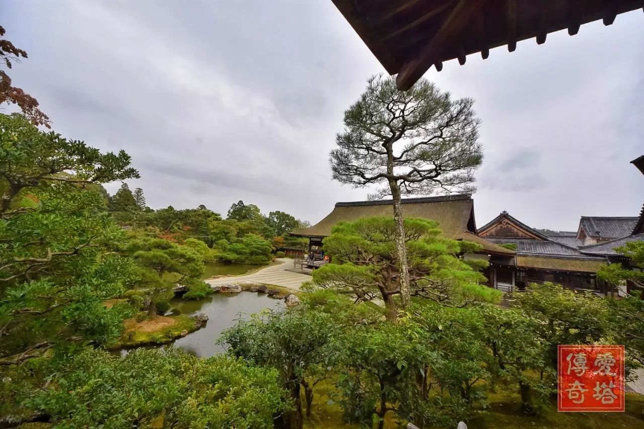 京都仁和寺的枯山水庭院和建筑 自由微信 Freewechat