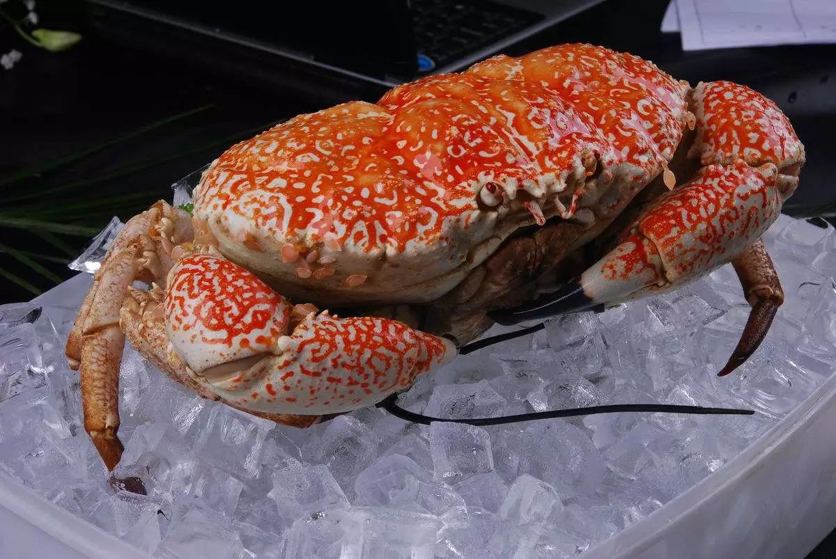 今年冬天杭州第一只皇帝蟹等你来吃!